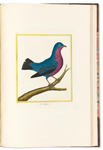 (BIRDS.) Francois Nicolas Martinet; and Edme Louis Daubenton. Bound volume of 100 large paper hand-colored engraved plates from